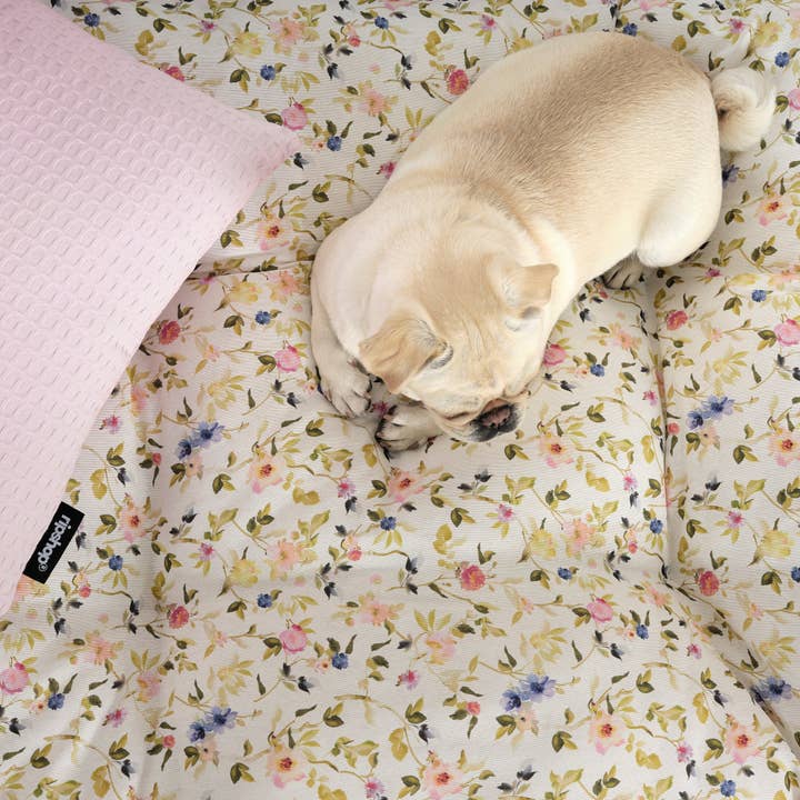 SG HOGAR - Wholesale Pet bed – Dog - Leeds Green 100% Cotton Stain-Resistant Pet Bed4