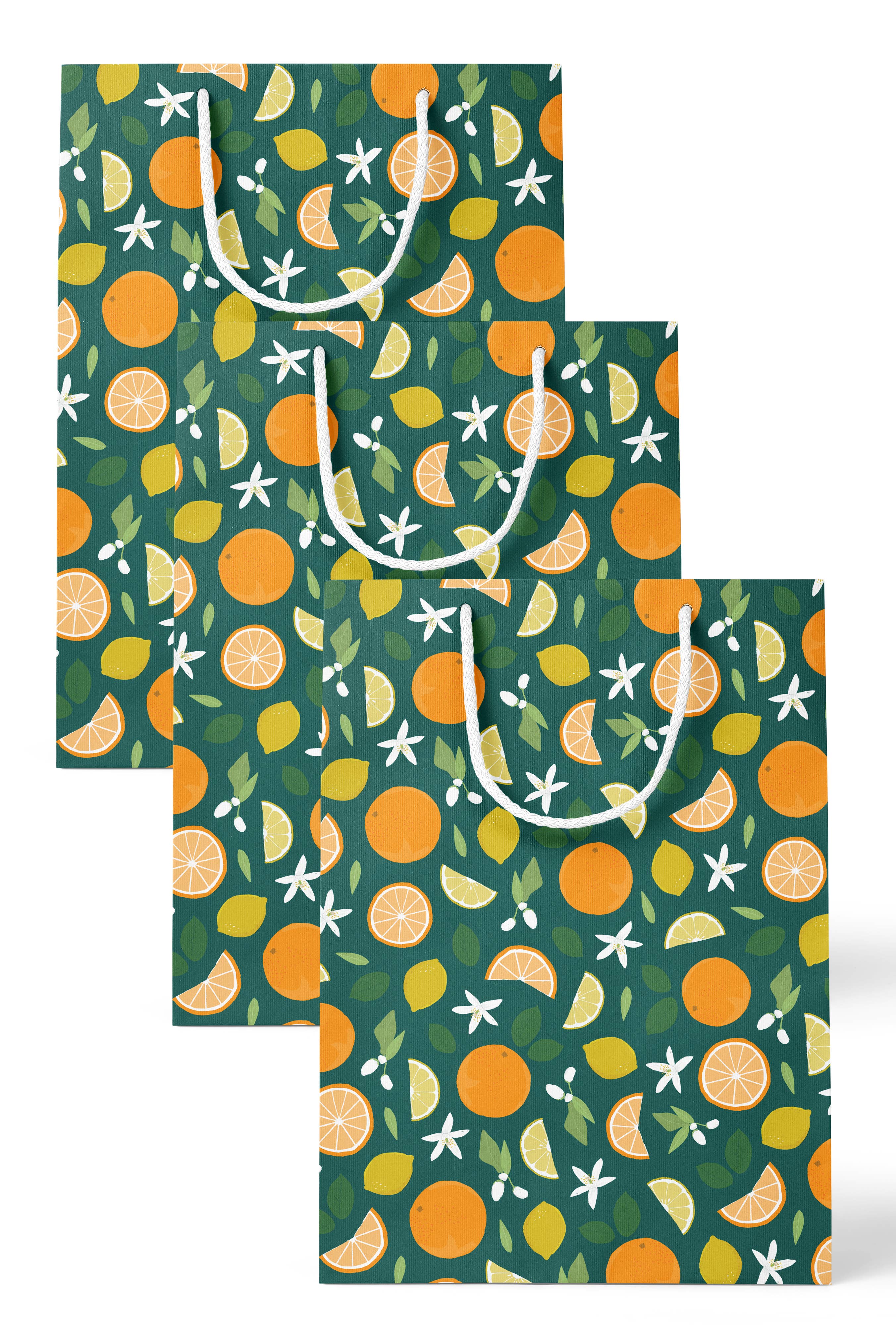 Joy Paper Co. - Wholesale Gift Bag - Citrus & Floral Gift Bag1