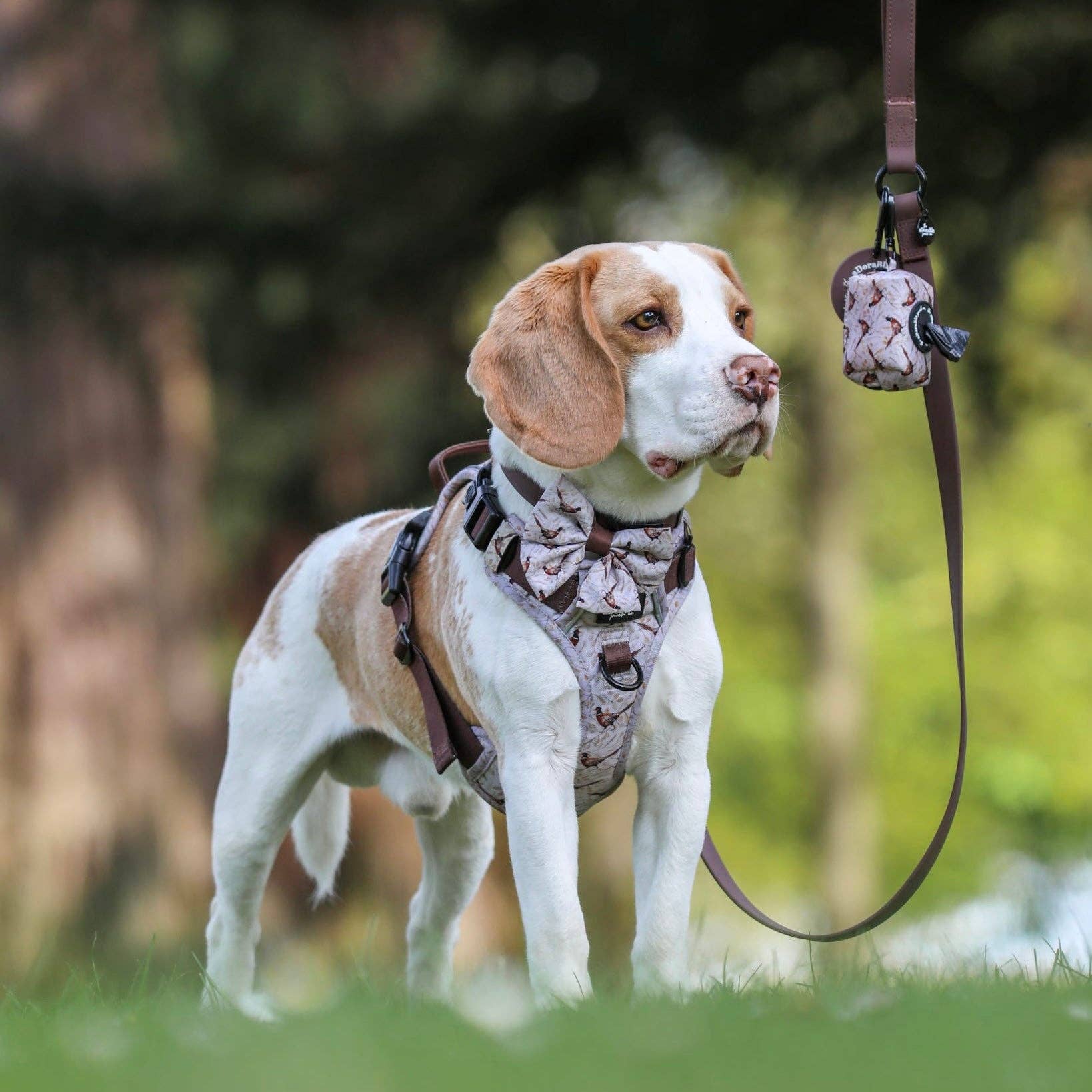 The aDoraBle Pooch Company – wholesale Pet bow tie – Dog – Dog Sailor Bow Tie - Farmland Pheasant10