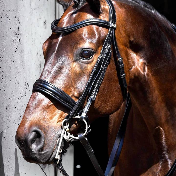 Double Bridle - Weymouth - Top selected leather for wholesale by EPONIA EQUESTRIAN LIFESTYLE