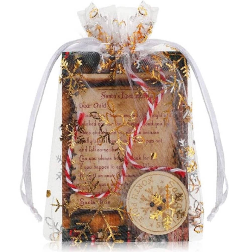 Broken Record Boutique - Wholesale Christmas Decoration - Santa's Lost Button Christmas Kit for Kids Holiday Tradition3