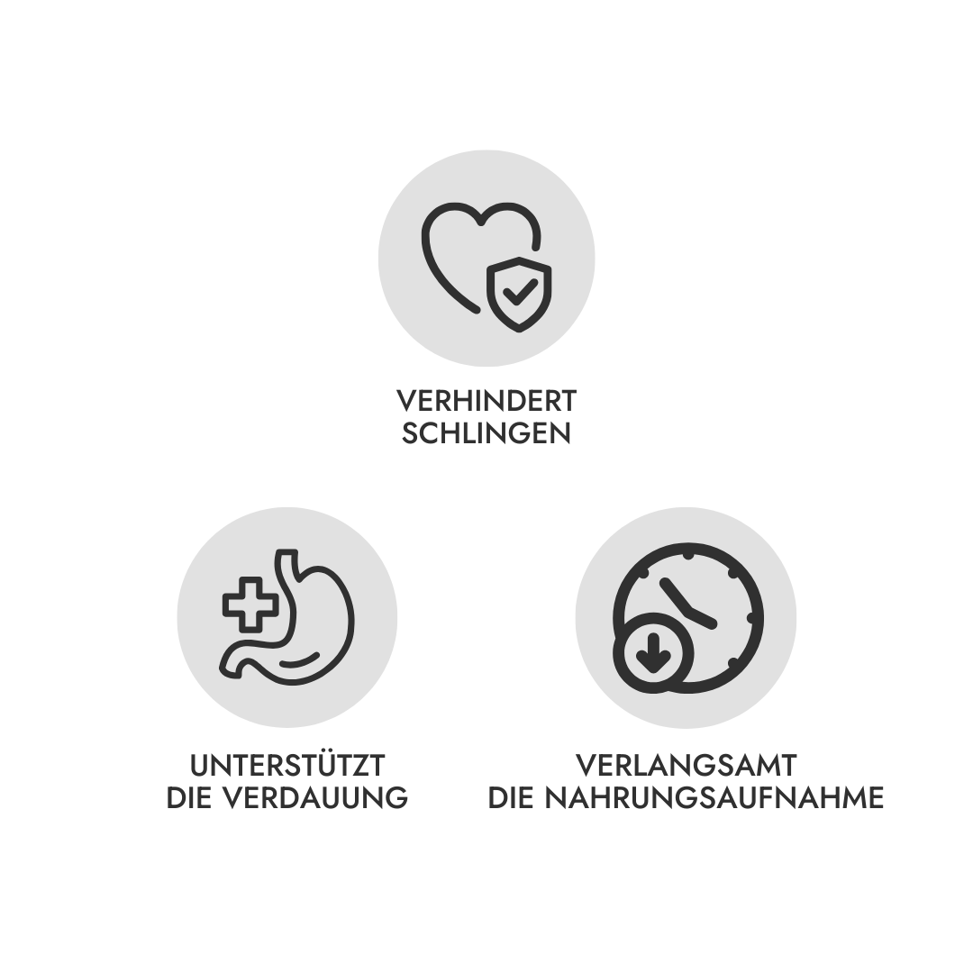 LOVIN'DOG - Wholesale Pet Bowl - Cat/Dog - 2-in-1 Anti-Gulp Bowl & Lick Mat ELEMENTS Nude2