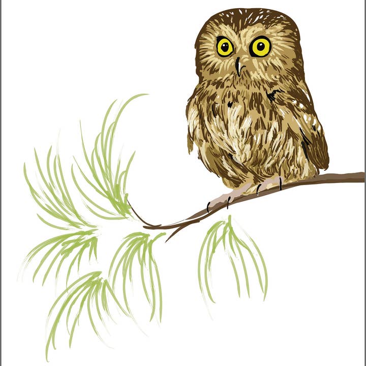 Sav-Ugle Kunsttryk: Sød Skovrovfugl for engroshandel hos Rigel Paper