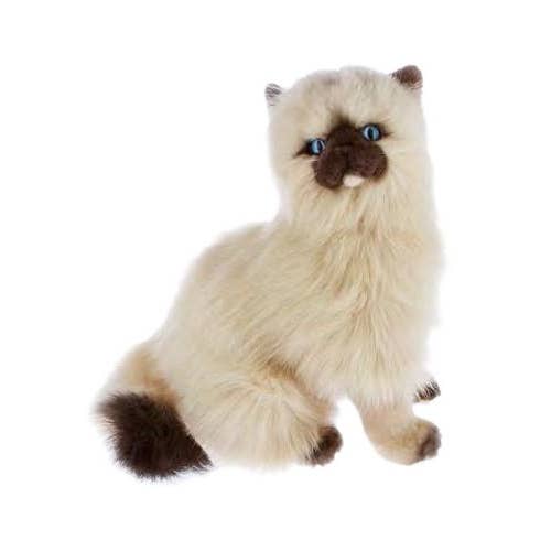 FurTastic Friends by Bocchetta Plush Toys - Wholesale Pet Plush Toy - Dog - Toffee - Cream Himalayan Cat Plush Toy, 34cm/13.4"