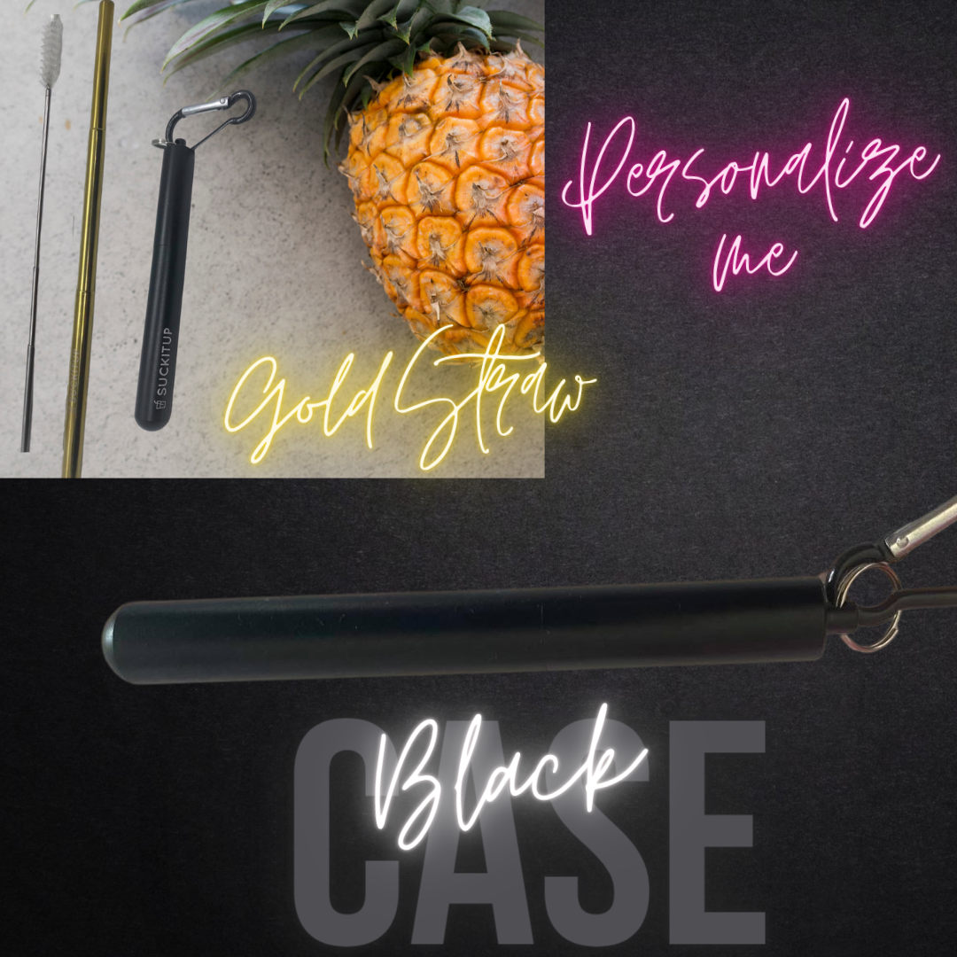 Suck It Up Straws - Vente Paille - Pailles métalliques télescopiques avec étui pour porte-clés et brosse de nettoyage83
