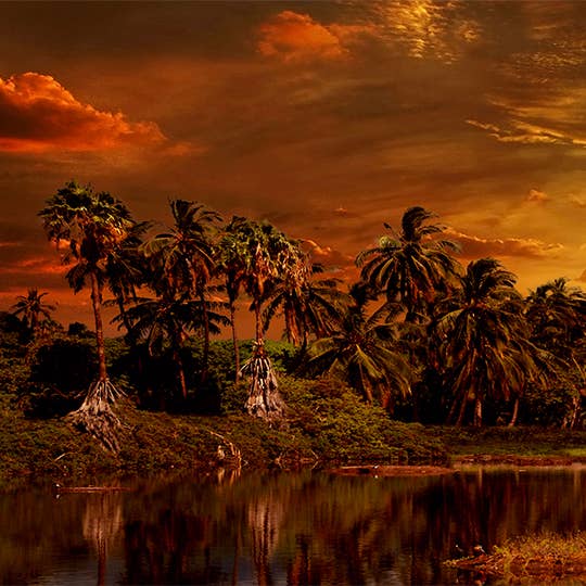 11X14 PRINTS- GENESIS Digital Media by Paulo Sabado for wholesale by Sabado Studios