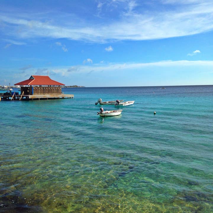 Bonaire II for wholesale by Nikita Fine Art Photography