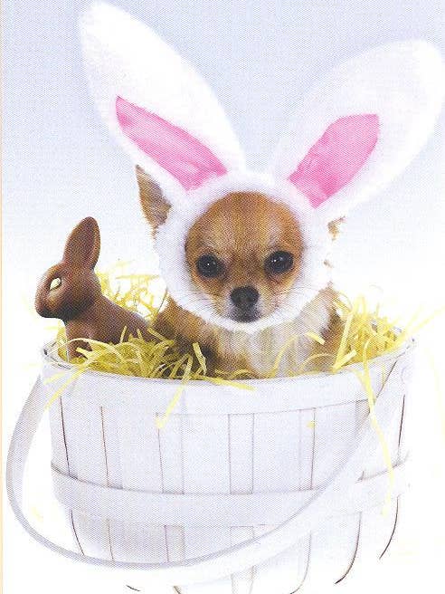 Easter Humorous | GRTC | SM | 41522L for wholesale by DICKENS INC.