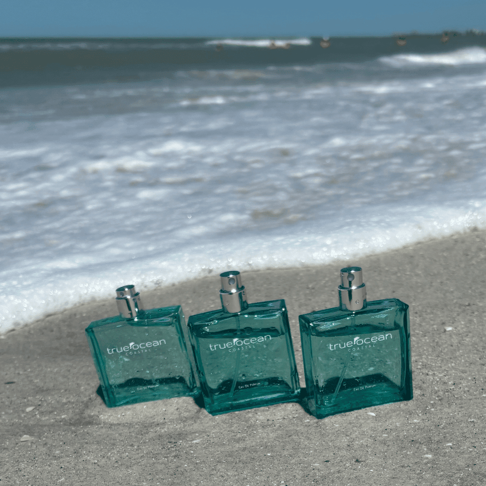 True Ocean - Wholesale Retailer Sample - Beauty & Wellness - Coastal - Eau de Parfum sampler card (2ml) - Pack of 206