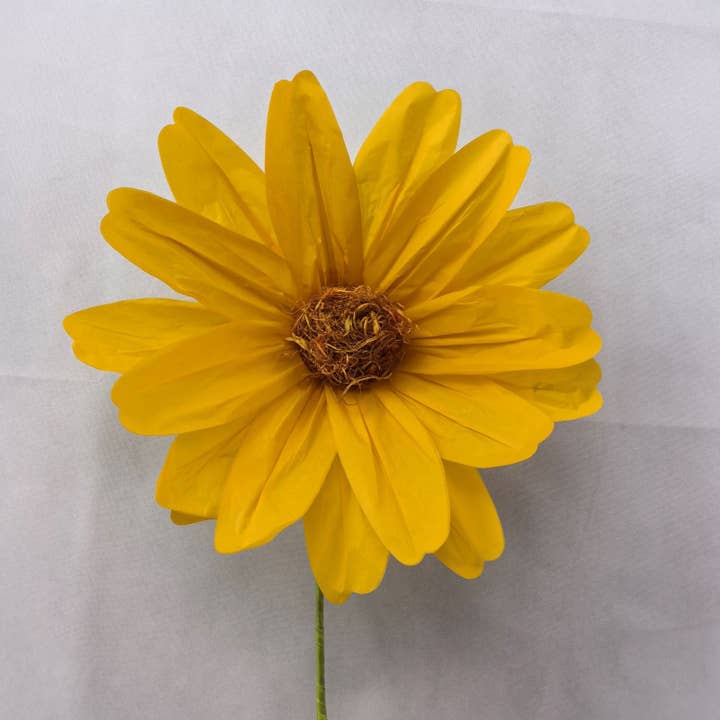 Green Import Limited - Wholesale Decal - Party Decorations - AC10432 BIG COSMOS,43"1