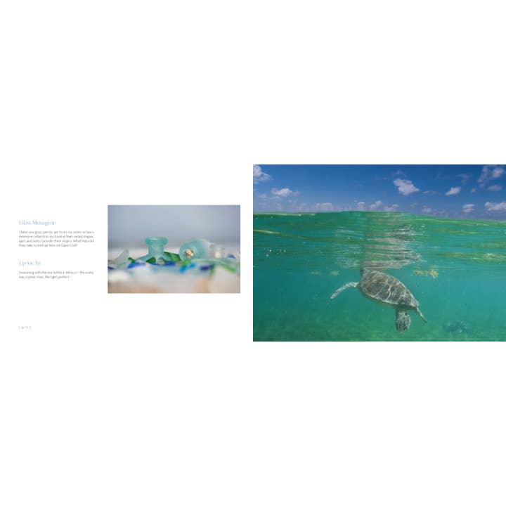 Schiffer Publishing - Wholesale Book - Adult - Beaches: Celebrating Stones, Sand, and Surf