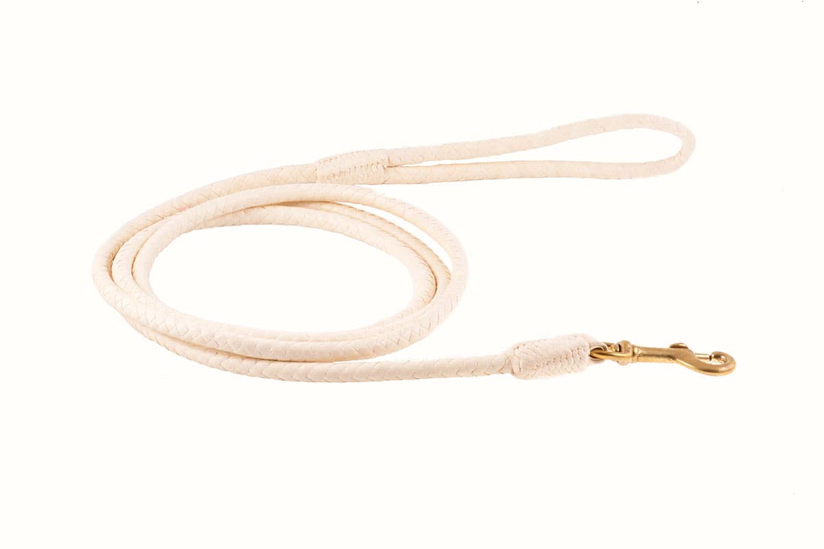 Alvalley - Wholesale Pet Leash - Dog - Braided Leather Snap Leads36