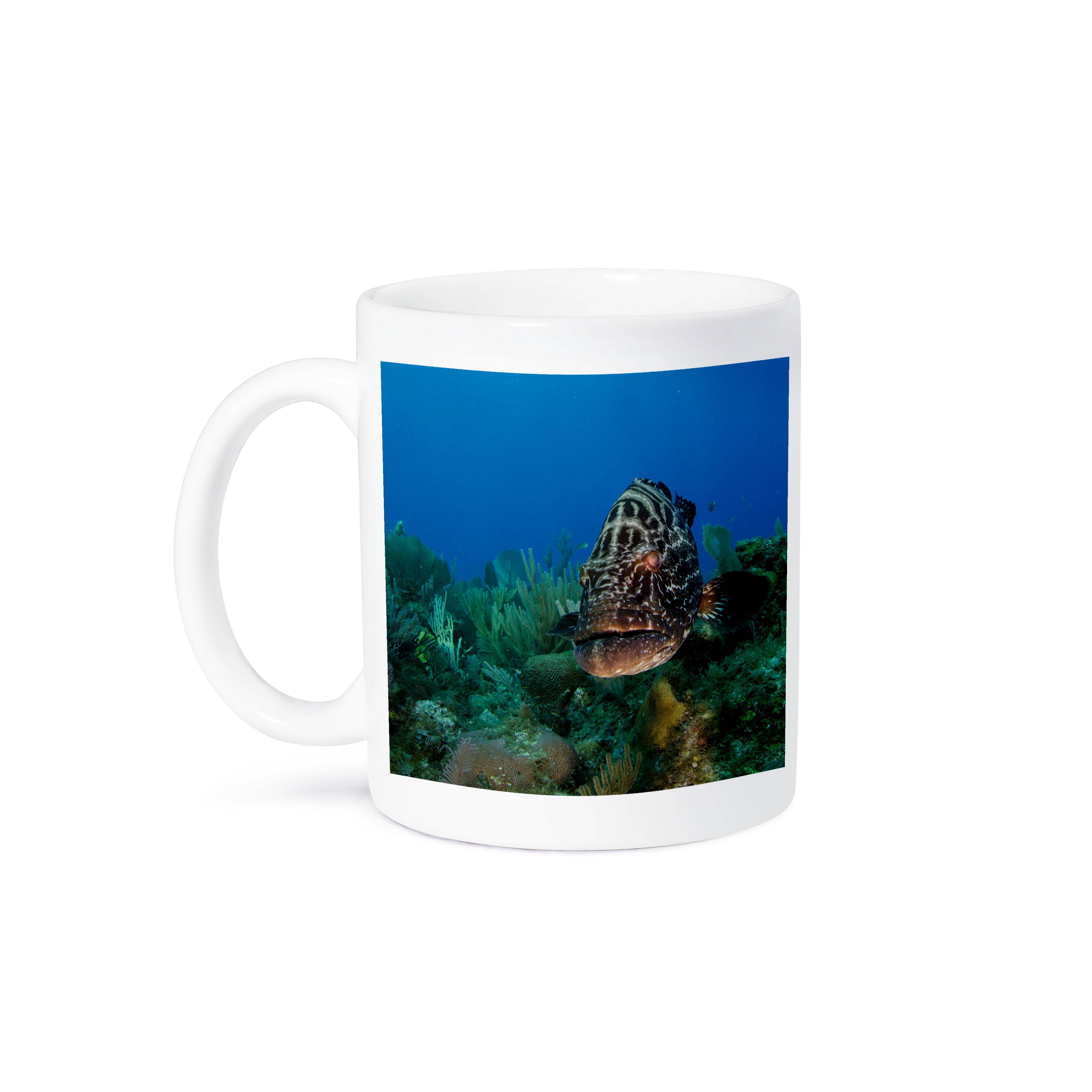 3dRose - Wholesale Coffee Mug - 3dRose, Cuba - Black Grouper, Jardines de la Reina NP, Cuba, Mug8