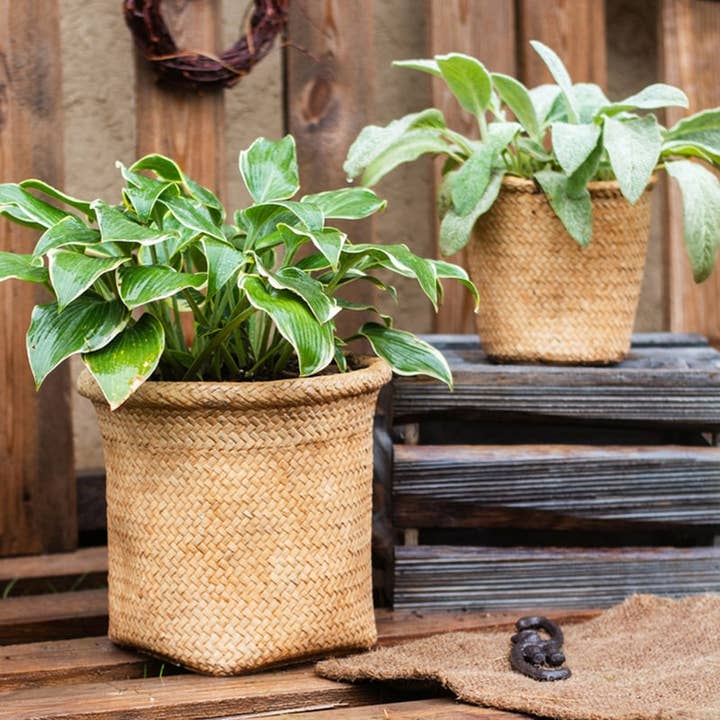 Basket Style Concrete Planter for wholesale by Rustic Reach