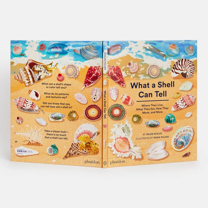 Phaidon - Wholesale Nature & Outdoors - What A Shell Can Tell4