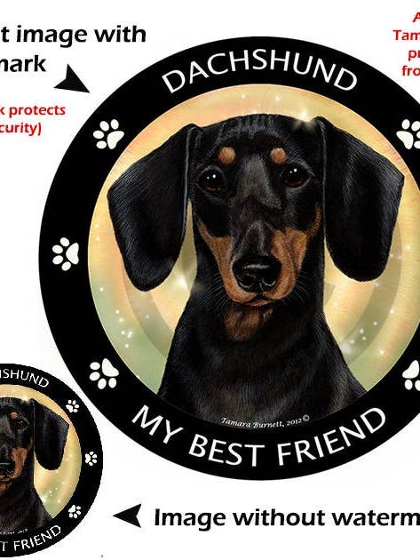Dachshund Black and Tan My Best Friend Circular Magnet for wholesale by Pet Gifts USA, LLC