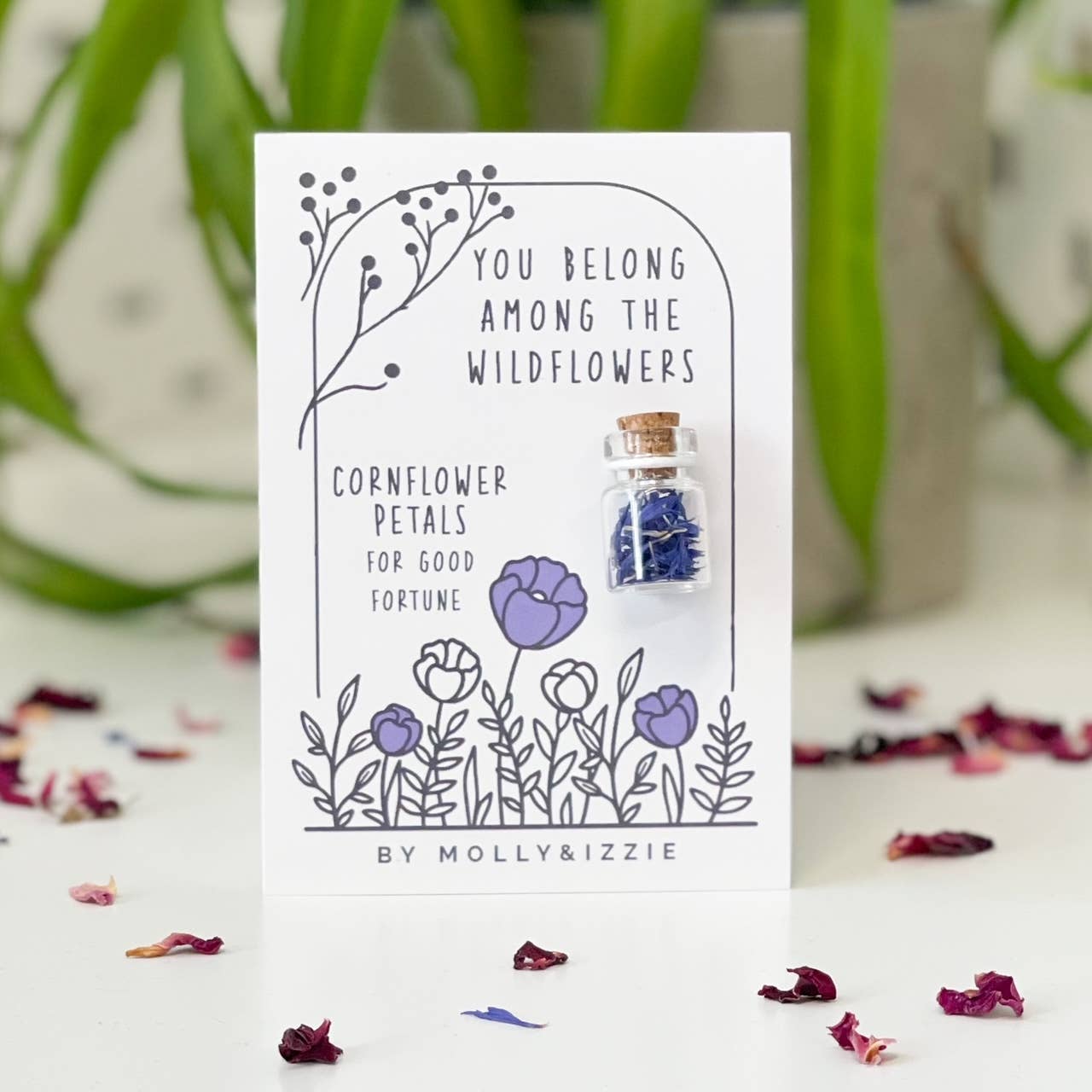 by Molly&Izzie – Engroshandel Tørrede/pressede blomster – Blomsterblade i krukke - Kornblomst