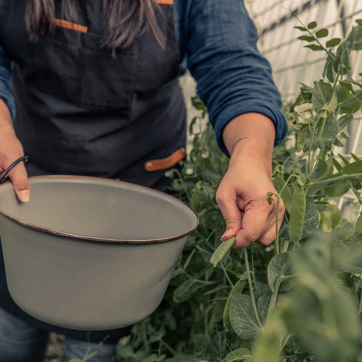 Barebones - Wholesale Mixing Bowl - Enamel Mixing Bowl Set3