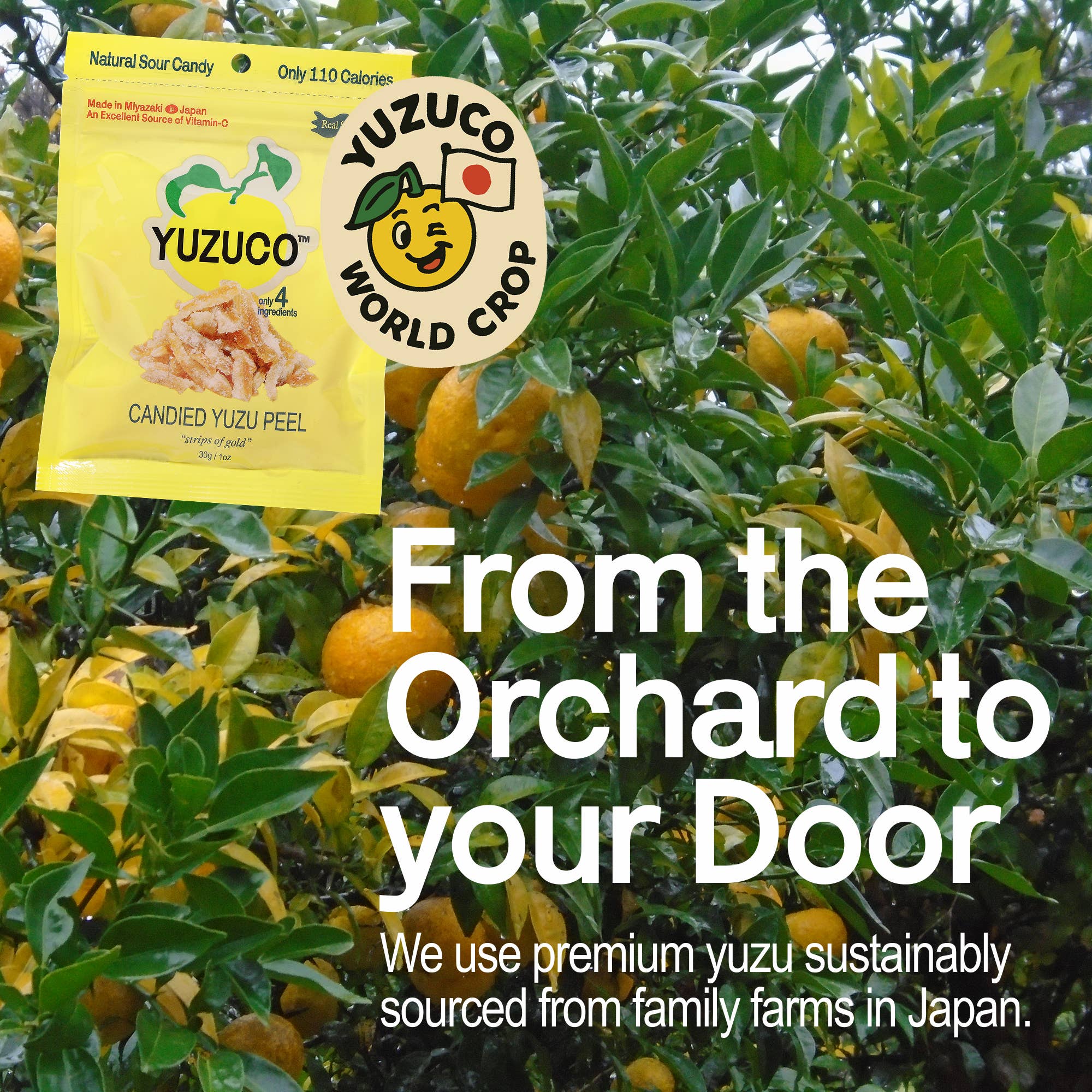 YUZUCO - Wholesale Gummy - Candied Yuzu Peel5