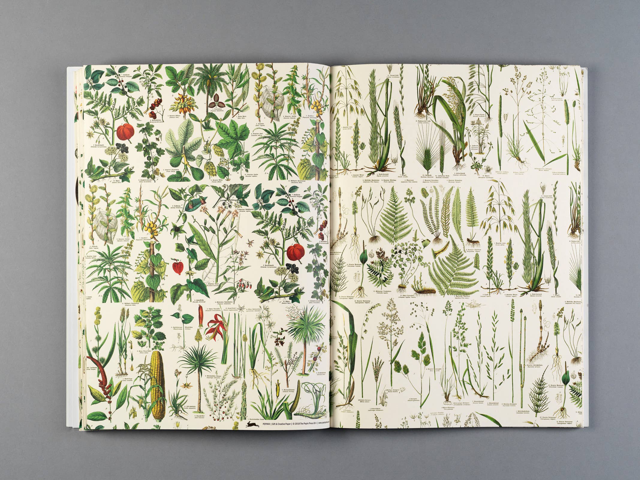Pepin Press – wholesale Flat wrap – Flora Gift & Creative Paper Book Vol. 855