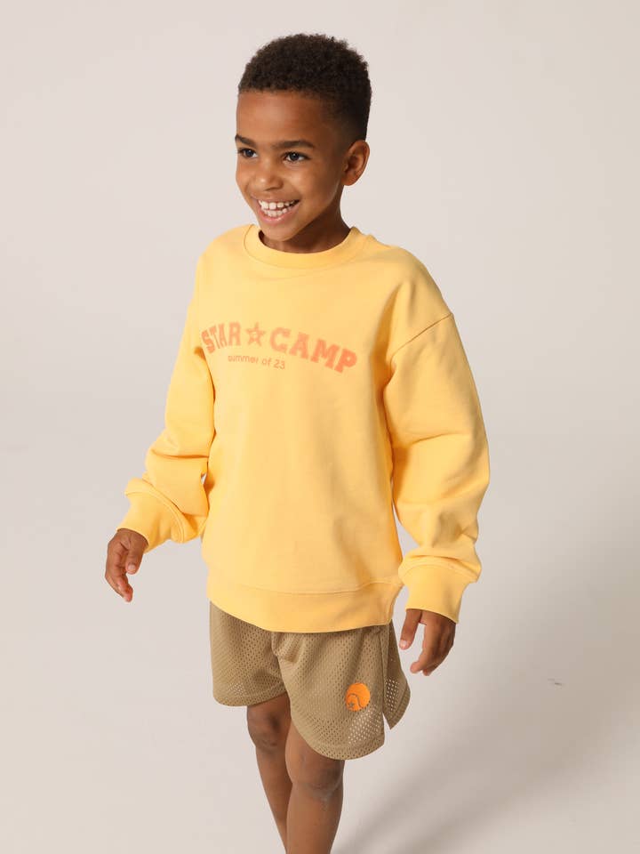 BASELINE STARCAMP PULLOVER FRUCHTIG für den Großhandel von Raquette