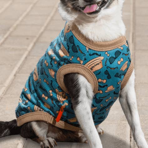 Dapper Doggos : chapeaux, lunettes et vêtements pour chiens élégants pour la vente par The Furry Fox