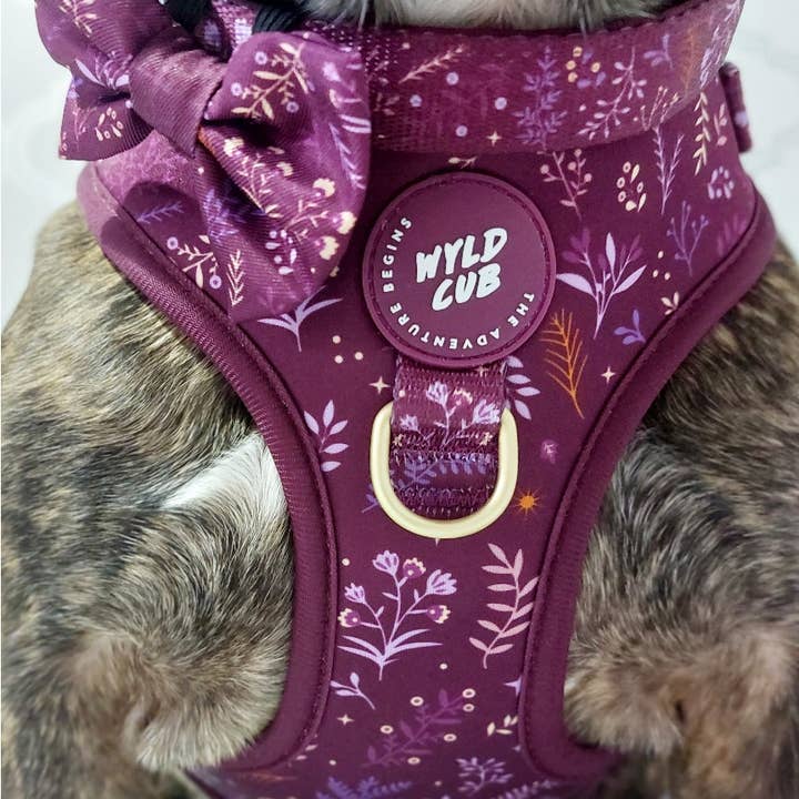 WYLD CUB - Vente Collier – chien - Collier ajustable pour chien : Chiswick Fig12