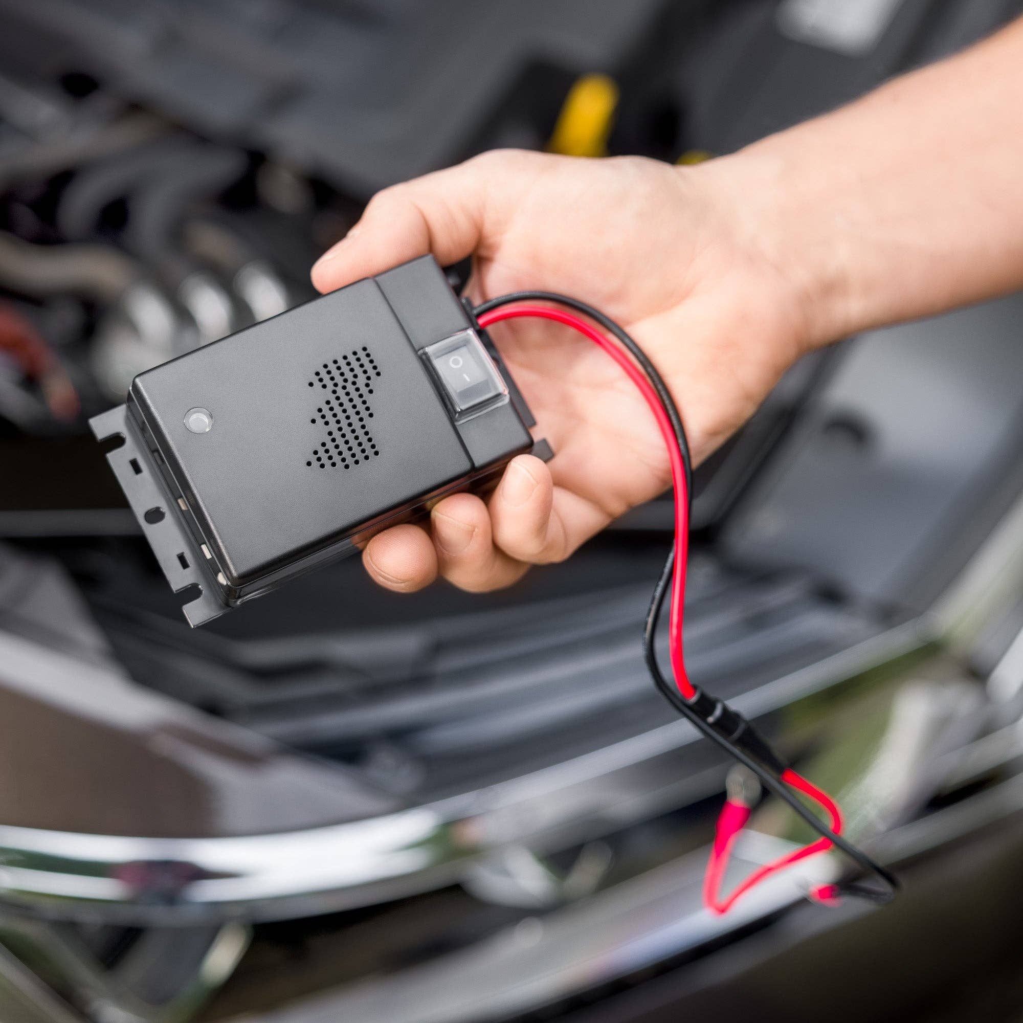 PATTLER® - Wholesale Automotive Cleaning Products - PATTLER marten protection package, car protection, cleaning, travel2