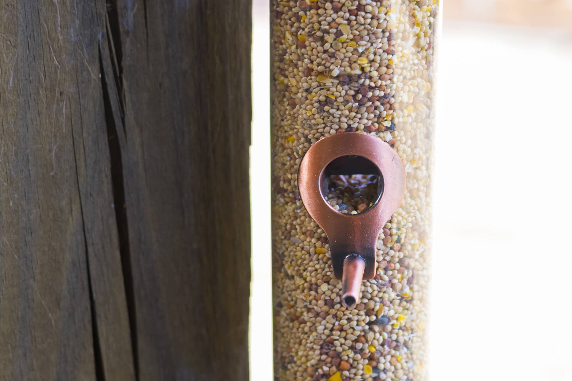 EAST AVENUE – wholesale Bird feeder – Copper Finish Bird Seed Feeder 15 Inch Long4