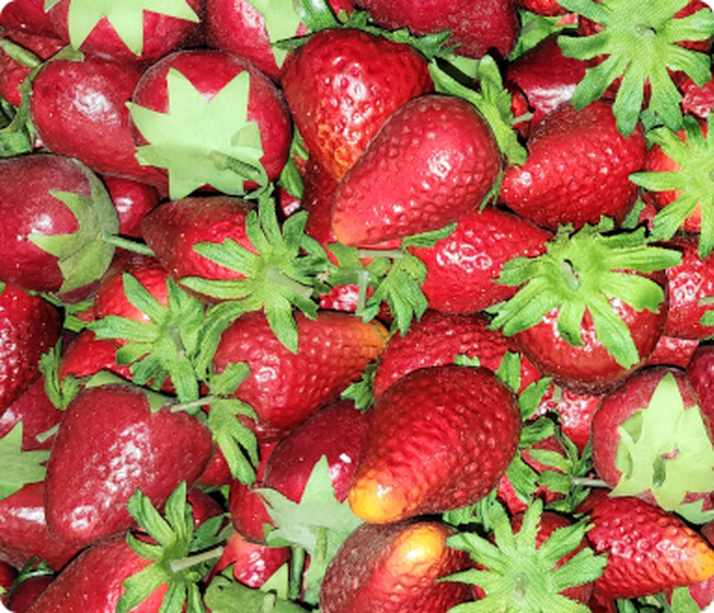 Factory Direct Craft - Wholesale Decorative Tabletop Object - Life Size Artificial Strawberries - Pack of 24 Strawberry6