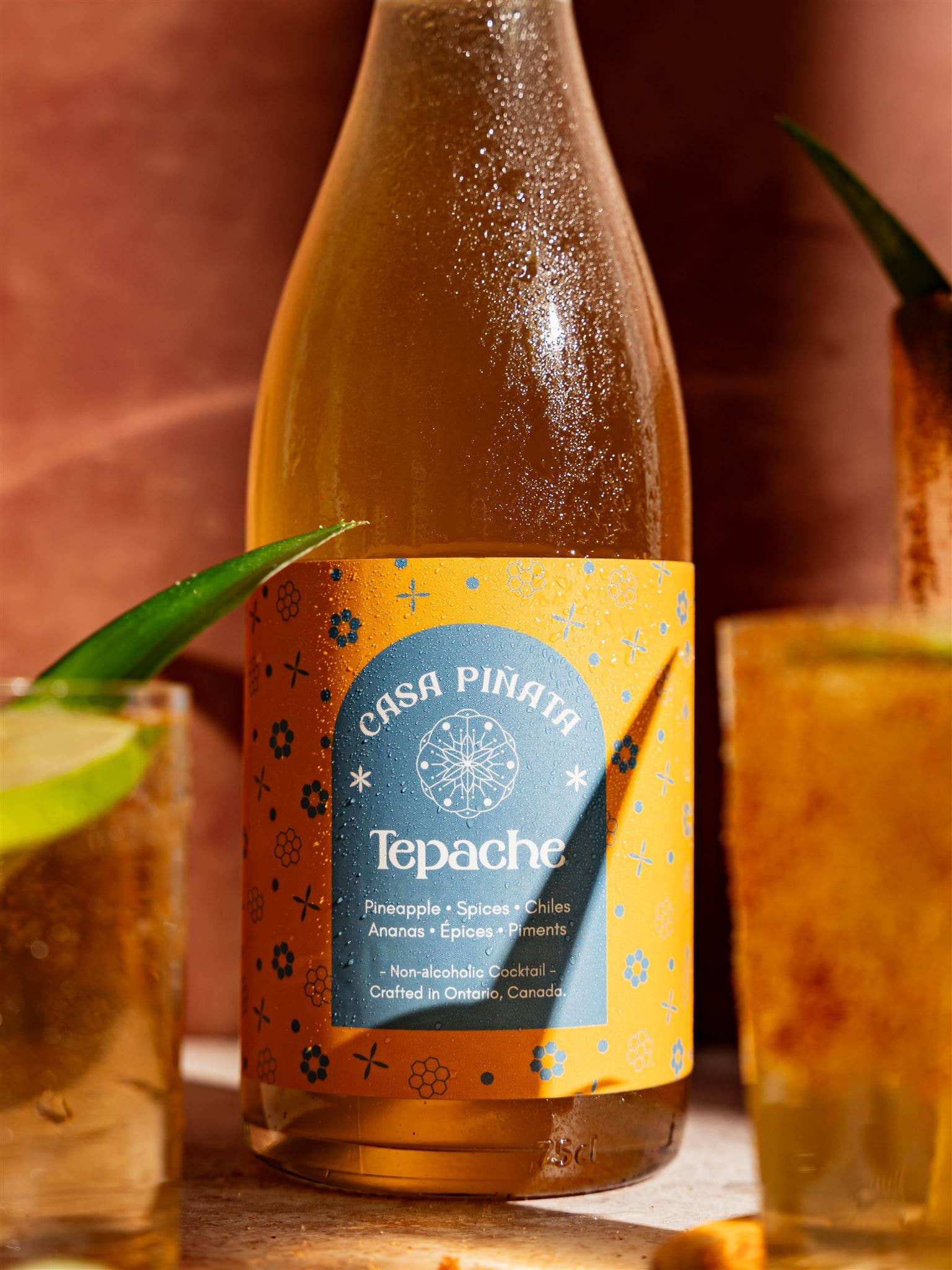 Casa Piñata - Wholesale Non-Alcoholic Aperitif/Mocktail - Tepache Mocktail1