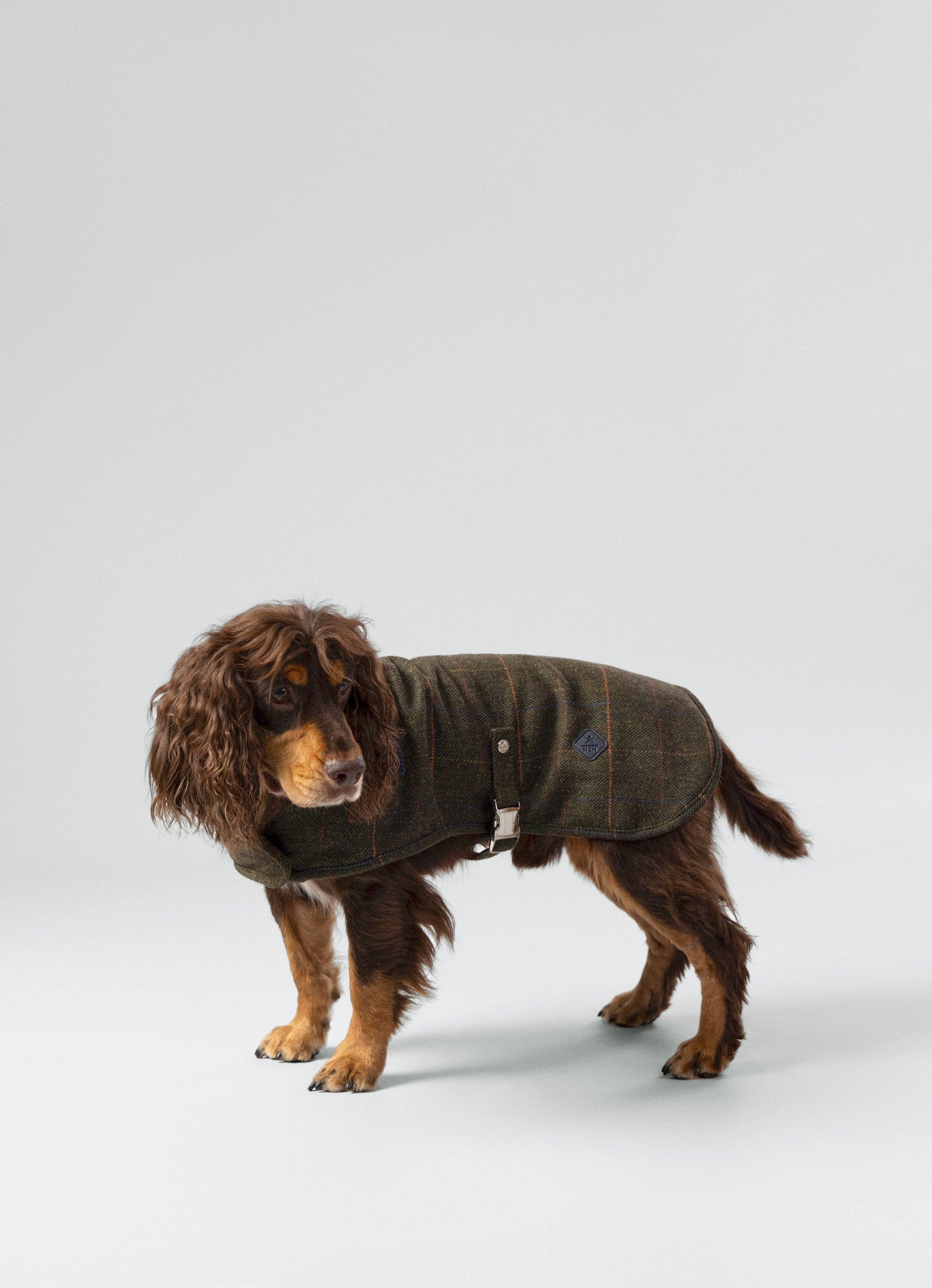 Hugo & Hudson - Vendita all'ingrosso Giacca - Cani - Giacca per cane in tweed a quadri verde scuro Hackett x Hugo & Hudson6