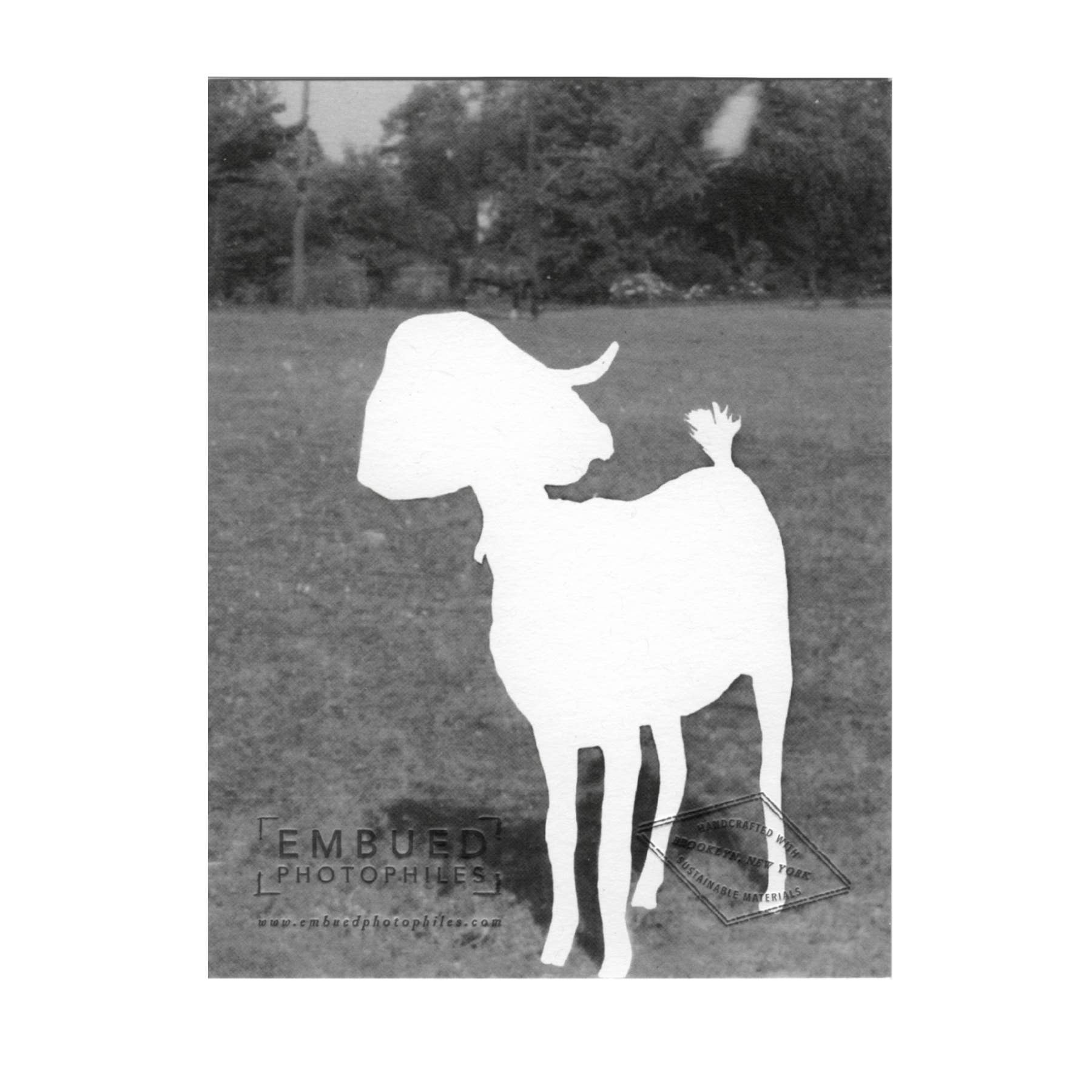 Embued Photophiles - Vente Cartes d'anniversaire - Carte d'anniversaire pour fête d'anniversaire Motif chèvre1