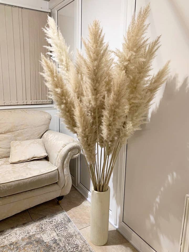 Grande vente de pampas naturelles crème duveteuses extra larges 60-140cm tige de pampas, cadeau pour elle, fleurs séchées, herbe de pampas / bouquet de pampas pour la vente par DemiVi Style