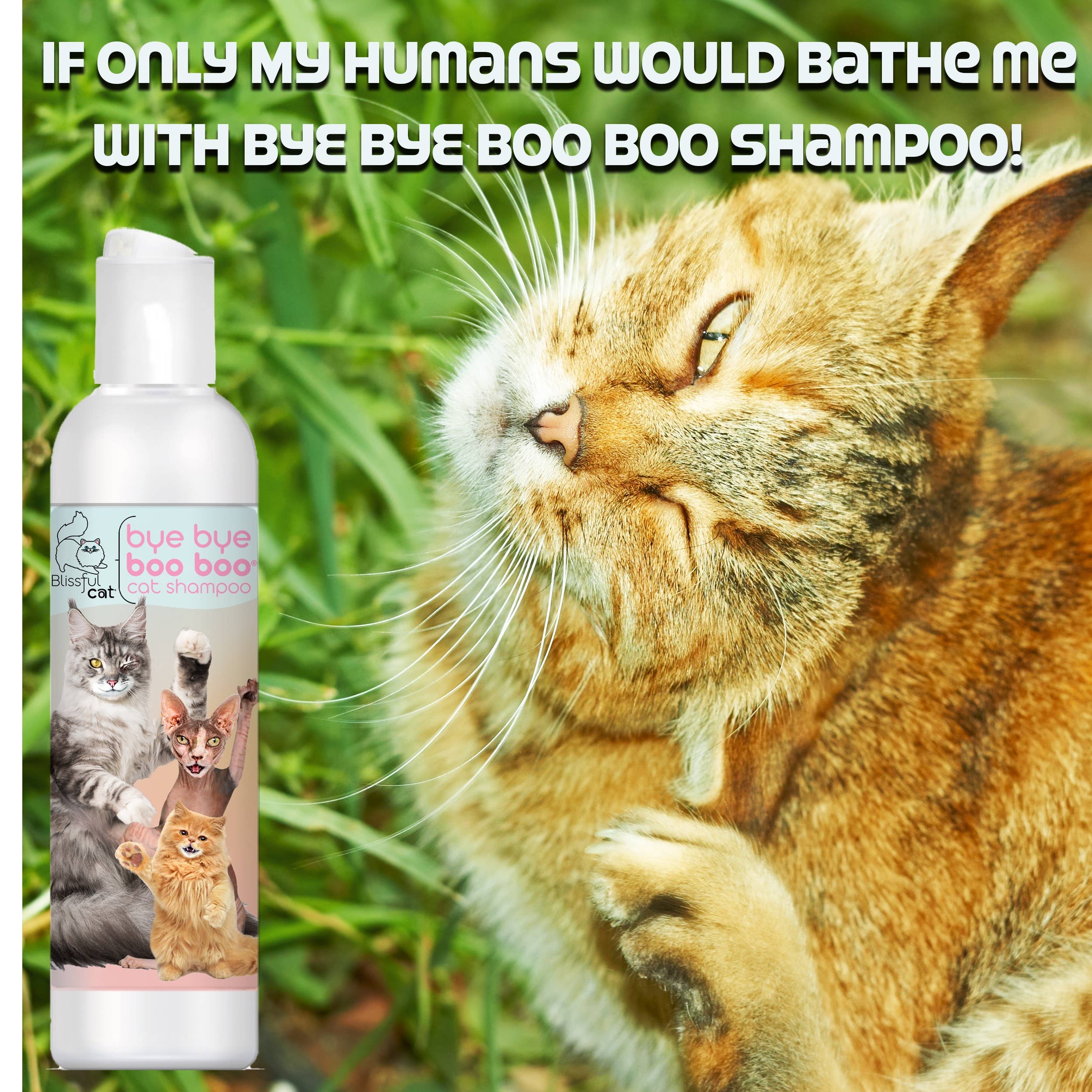 The Blissful Dog – wholesale Pet grooming tool – Cat – The Blissful Cat Bye Bye Boo Boo Cat Shampoo5