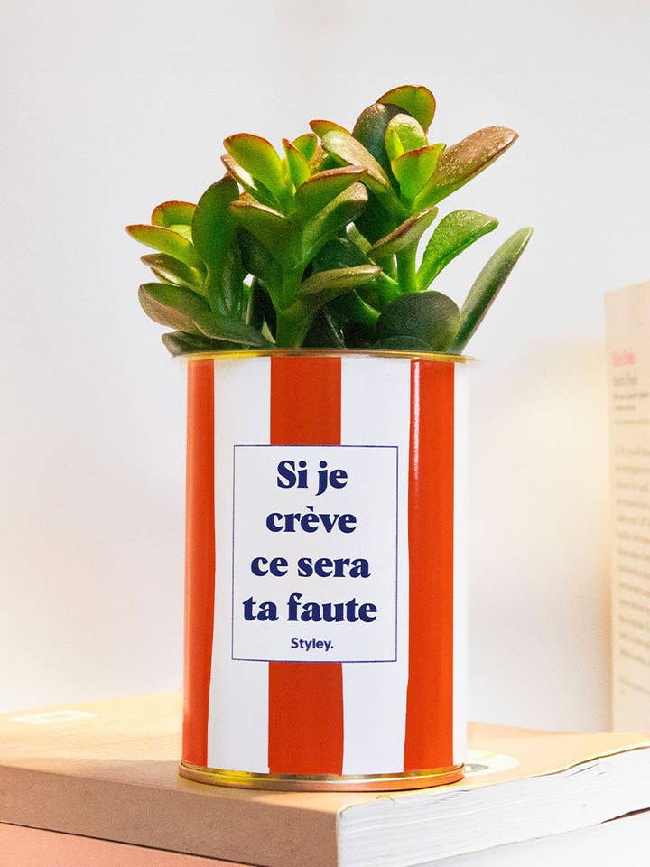 Si Me Muero Será Tu Culpa - Planta para venta al por mayor de Styley