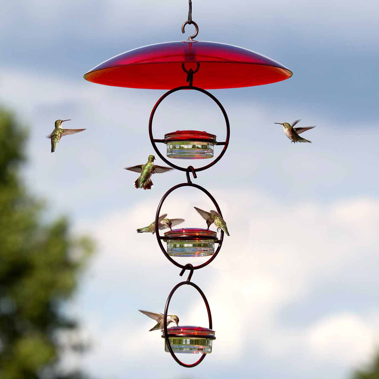Couronne Co. - Wholesale Bird Feeder - Mosaic Birds Hummble Slim Hummingbird Feeder8