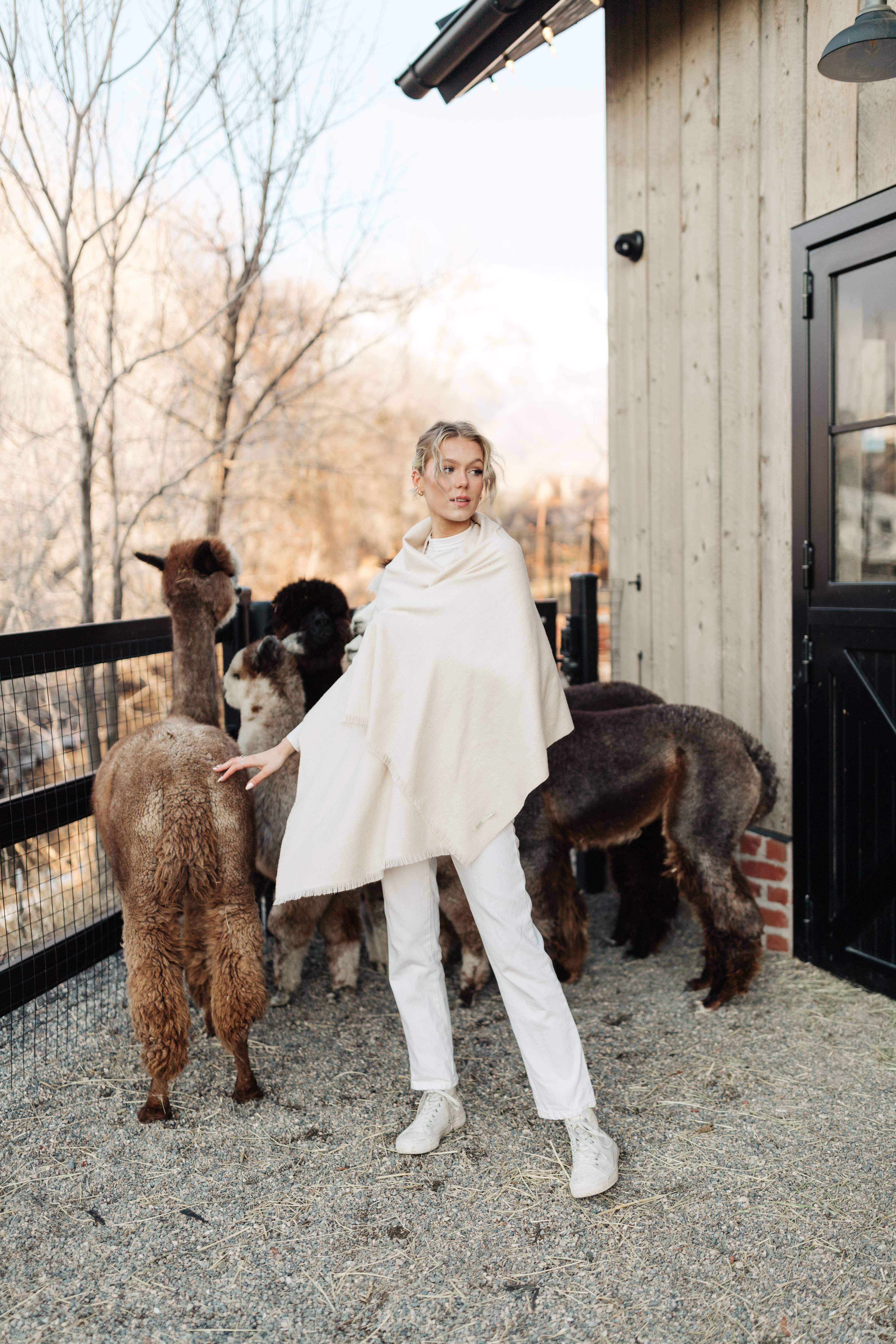 Cocún - Wholesale Scarf - Women's - Alpaca Oversized Scarf – Sand3