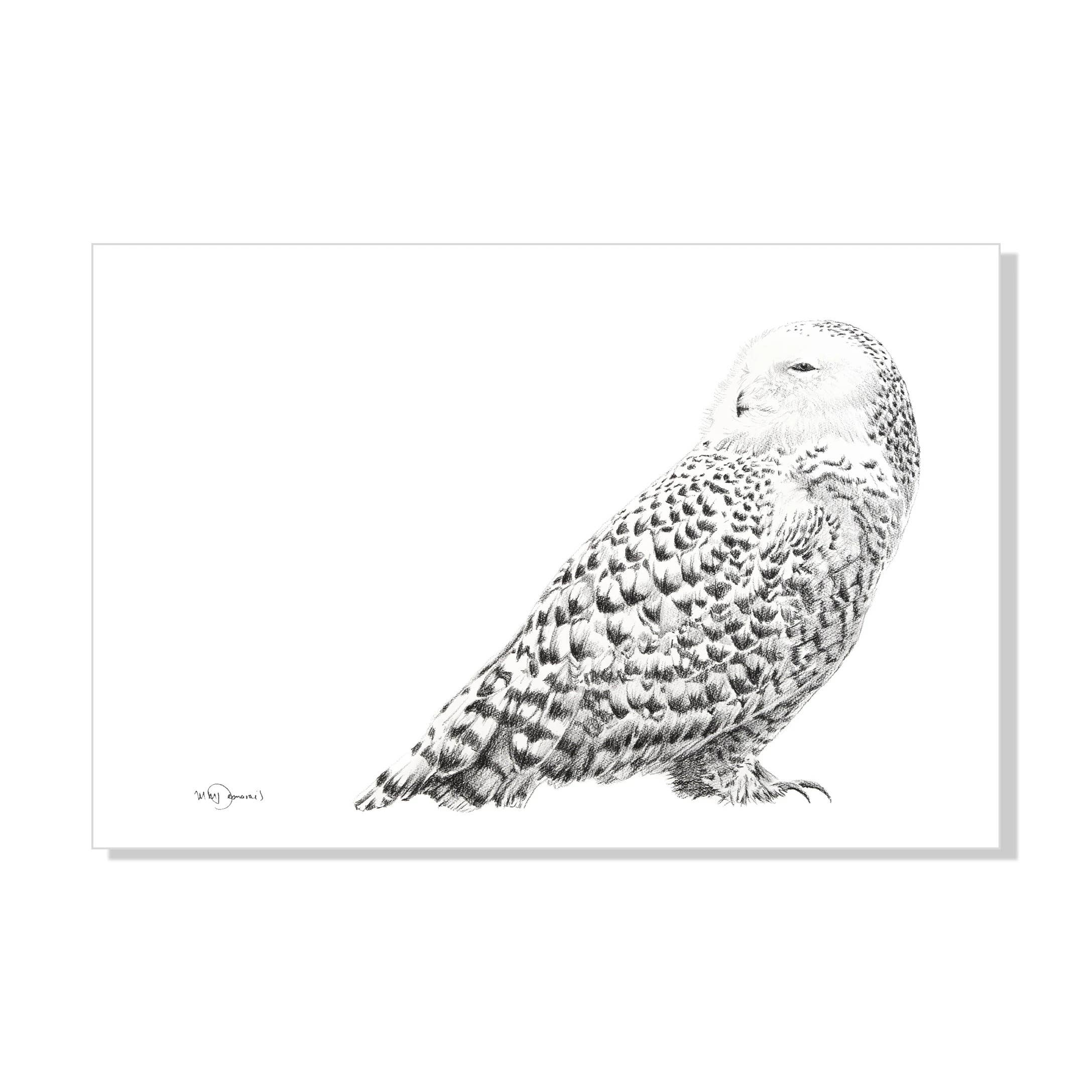 LE NID atelier - Wholesale Art Print - Snowy Owl Print0