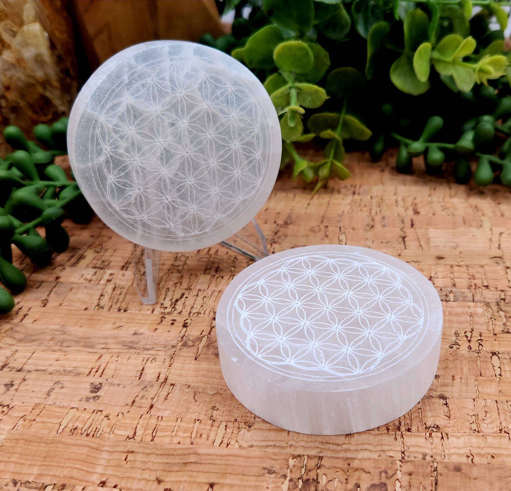 Meraki Gemstones - Wholesale Spiritual Stone/Crystal - Selenite Charging Plate/Coaster Round - Flower of Life 6-7cm2