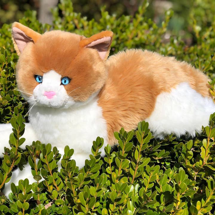 Auswella - Wholesale Stuffed/Plush Toy - Kids & Baby - Peaches Plush Cat