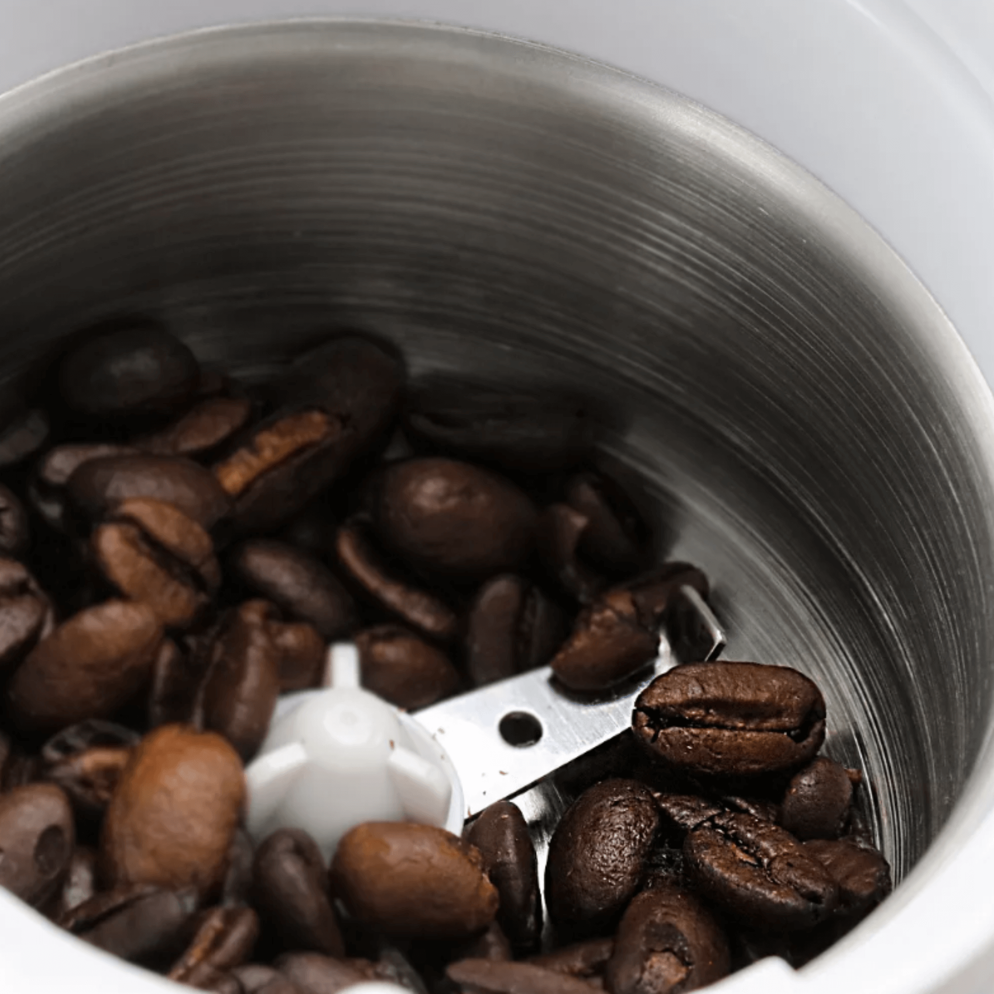 JupiterGear Home - Wholesale Coffee Grinder - Better Chef 150W Power Blade Coffee Grinder7