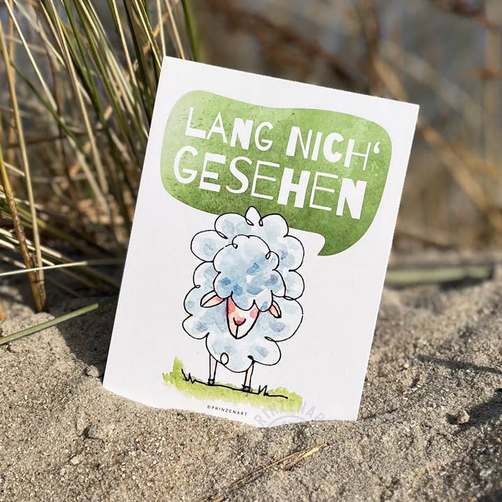 Postkort "Længe siden vi sås" | Savner dig-kort med får for engroshandel hos Prinzenart
