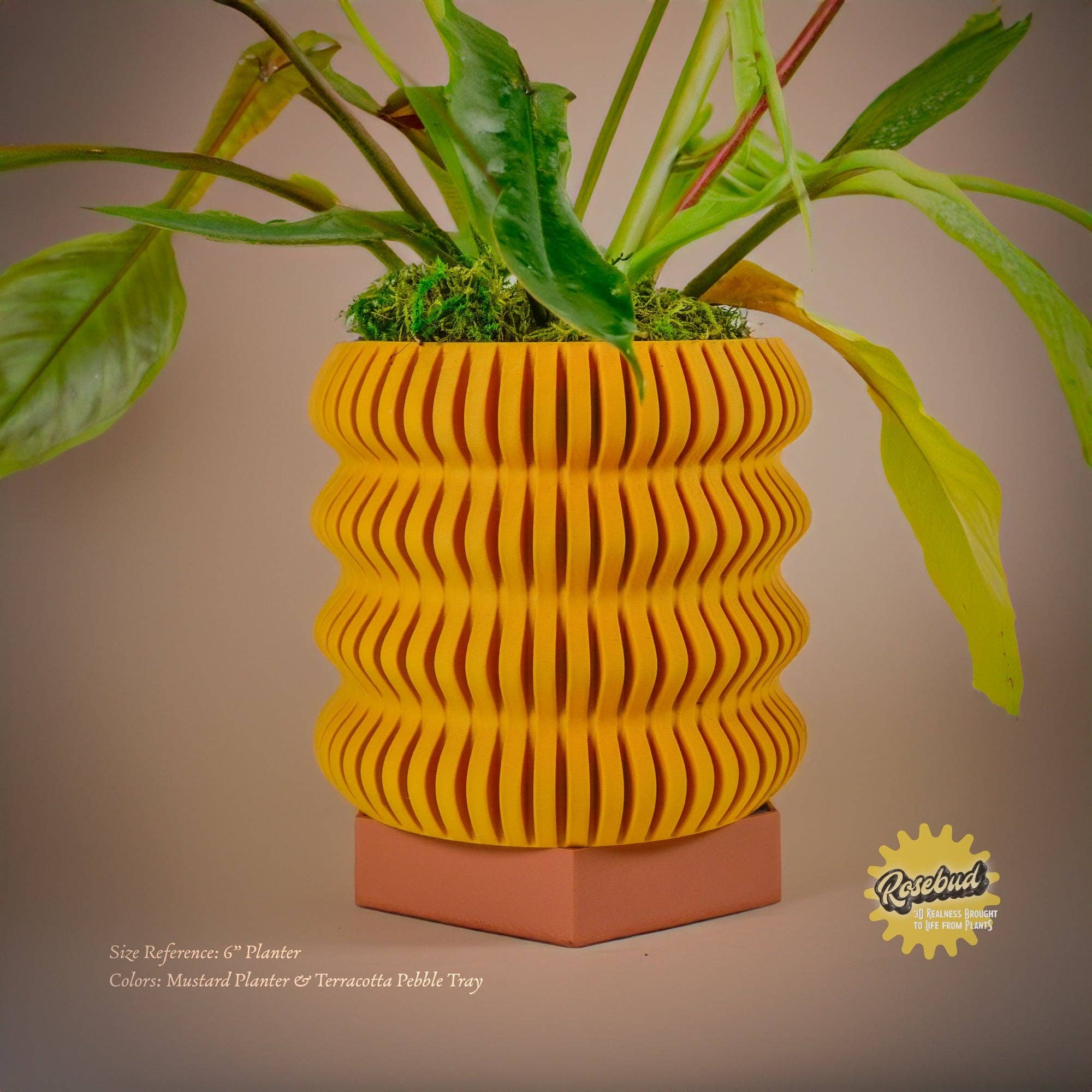 Rosebud Homegoods - Wholesale Garden Tool - Water Humidity Tray for Houseplants and Garden, 3D Printed Planter Accessories, Garden Gifts, Alocasia and Humid Loving Plants, Gifts For2