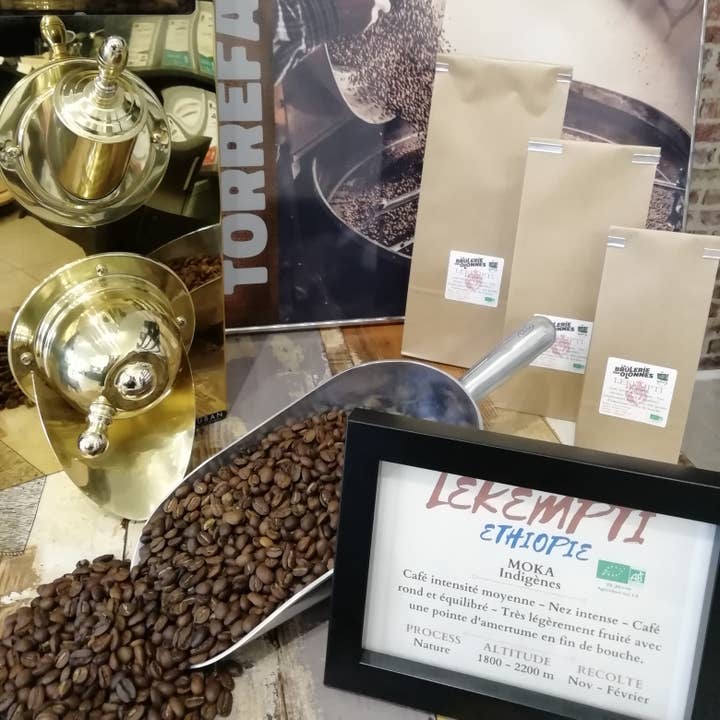 La Brûlerie Des Olonnes – wholesale Coffee beans – Ethiopia - Lekempti Organic - 1 kg Beans