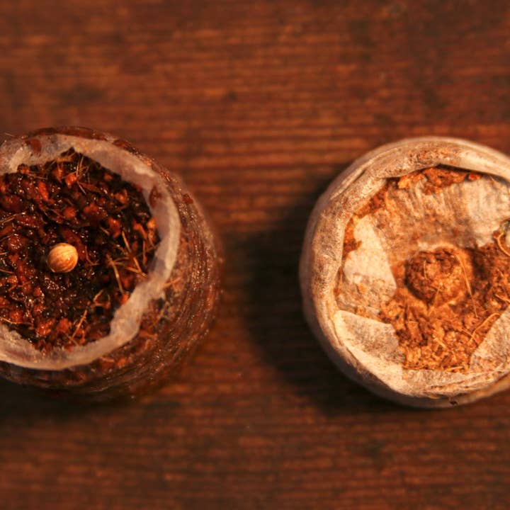 CoirProducts.co.uk of Salike Limited – wholesale Plant seeds – 25mm Coir Coins | Best For Seed Germination5