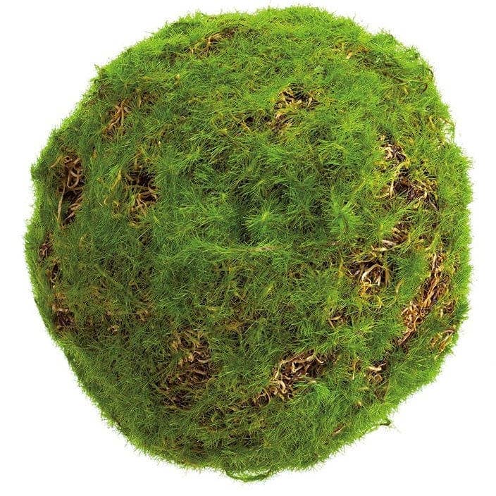 Artificial Grapevine Orb with Green Moss - 4" for wholesale by Will's Company