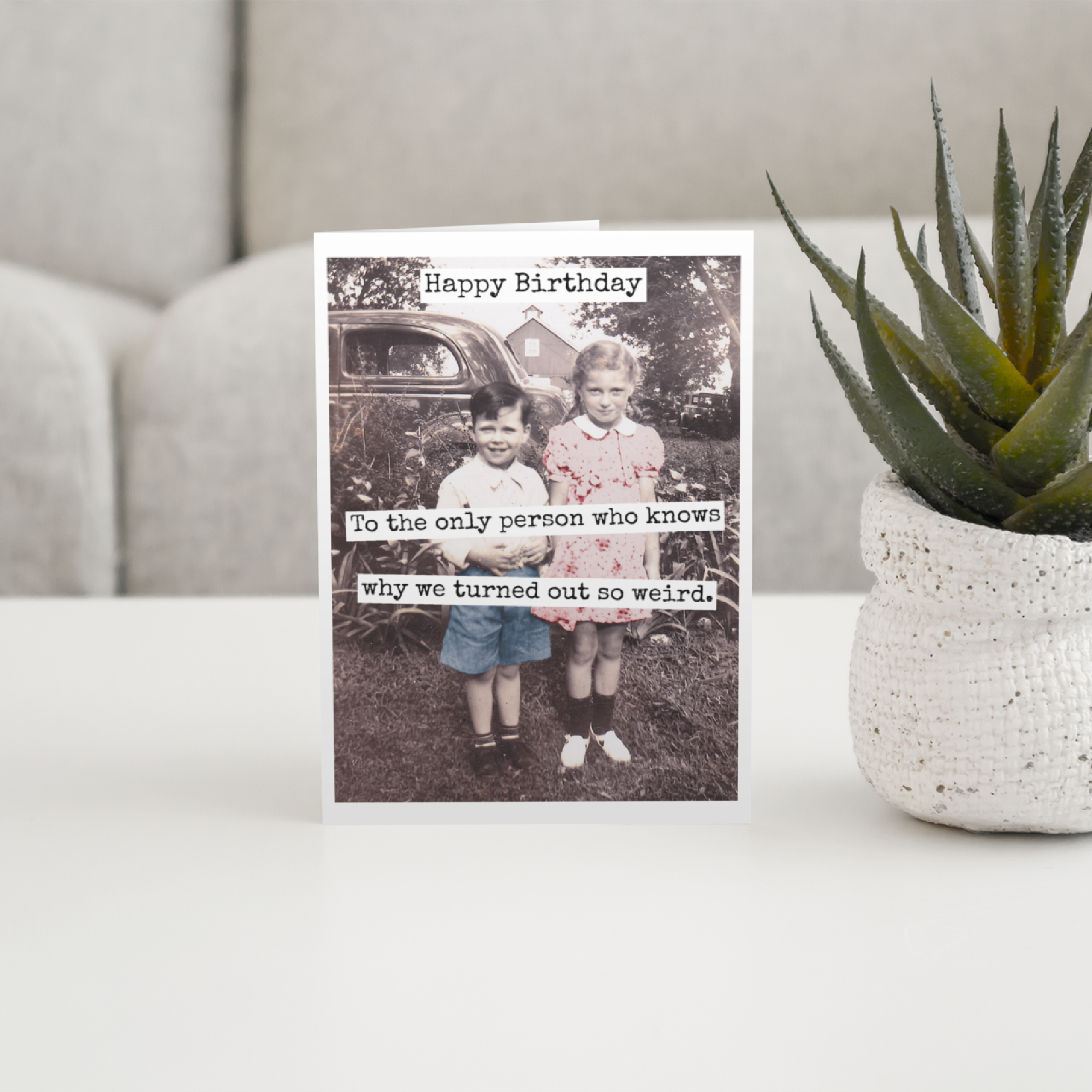 Raven's Rest Studio - Wholesale Birthday Card - CARD. Happy Birthday To The Only Person Who Knows Why...3