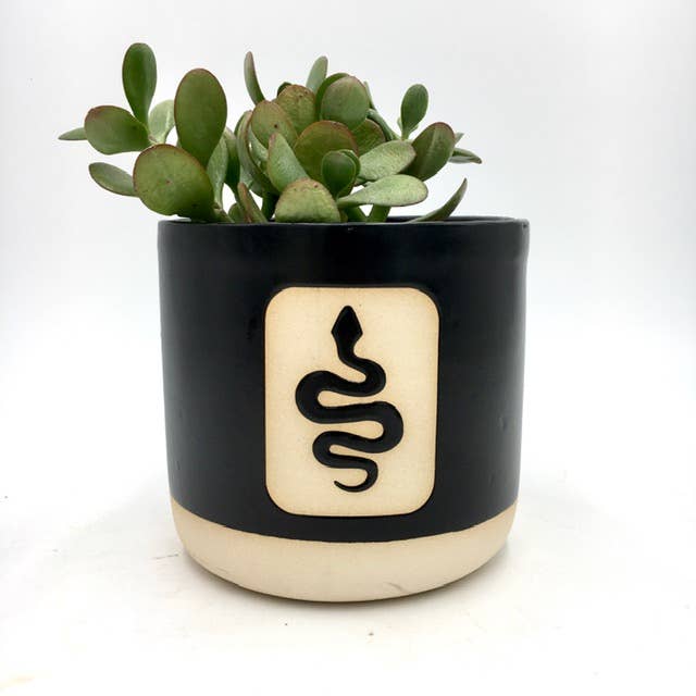 Ruby Farms Pottery - Vente Pot - Petit Serpent. Pot de Plante/Céramique Artisanale et Bancale2