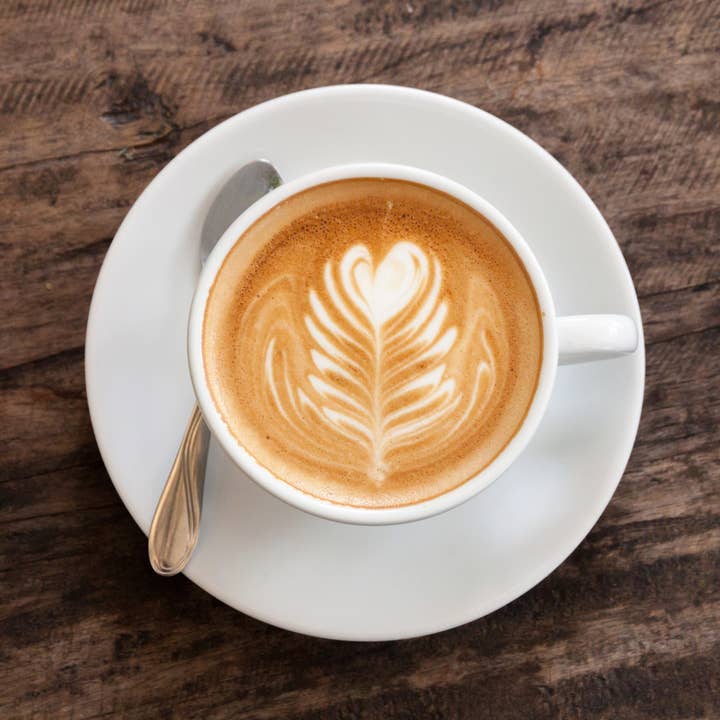 Caffè Morettino - Wholesale Espresso maker - Milk Frother Cappuccinatore Morettino1